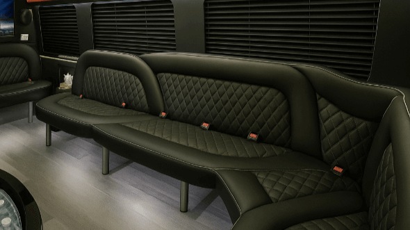 michigan 18 passenger party bus rental