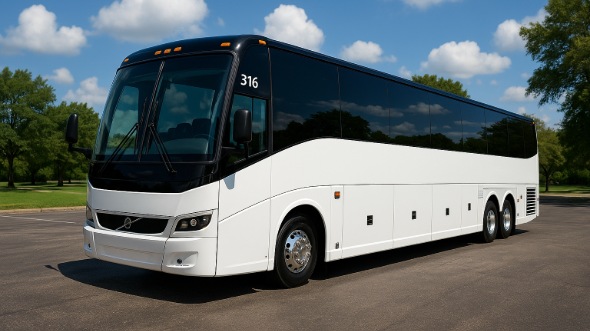 saginaw bachelor and bachelorette party bus rentals