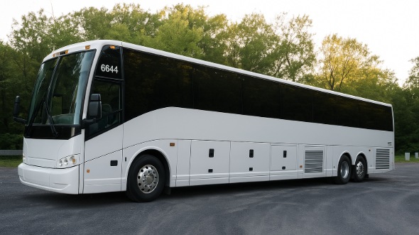 sterling heights bachelor and bachelorette party bus rentals